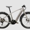 Trek Allan +8s Ash