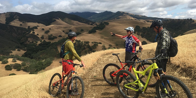 Mountain Bikes for sale online