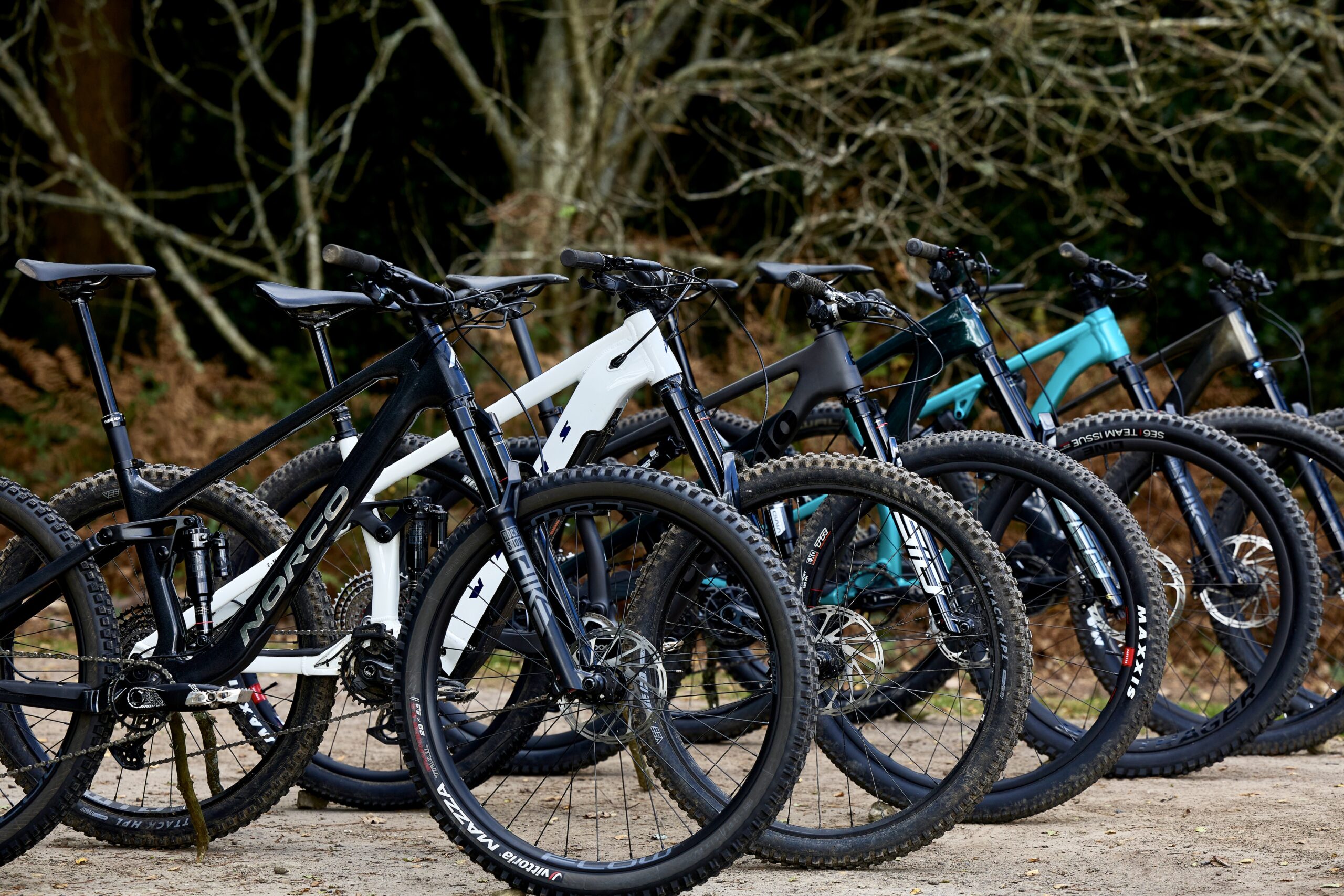 Best Bikes for Sale Online