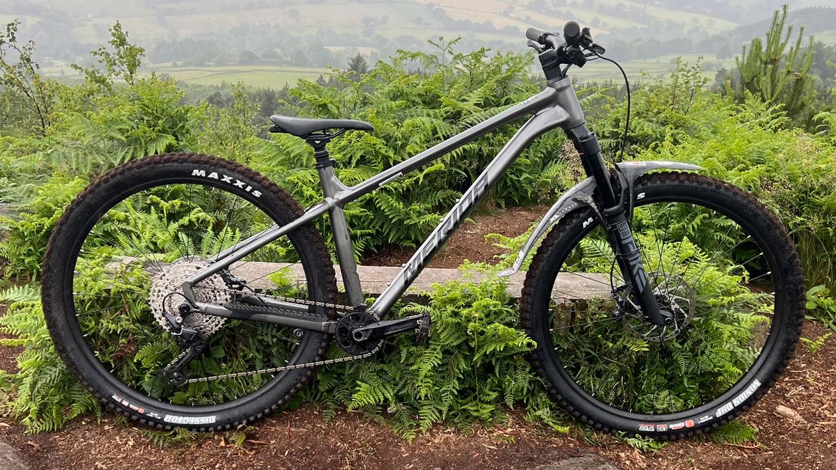 How to Buy Cheap Bikes Online