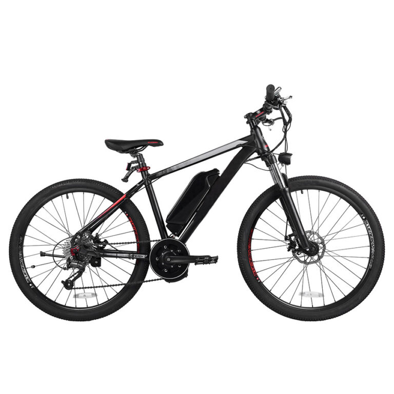Electric Bikes for Sale
