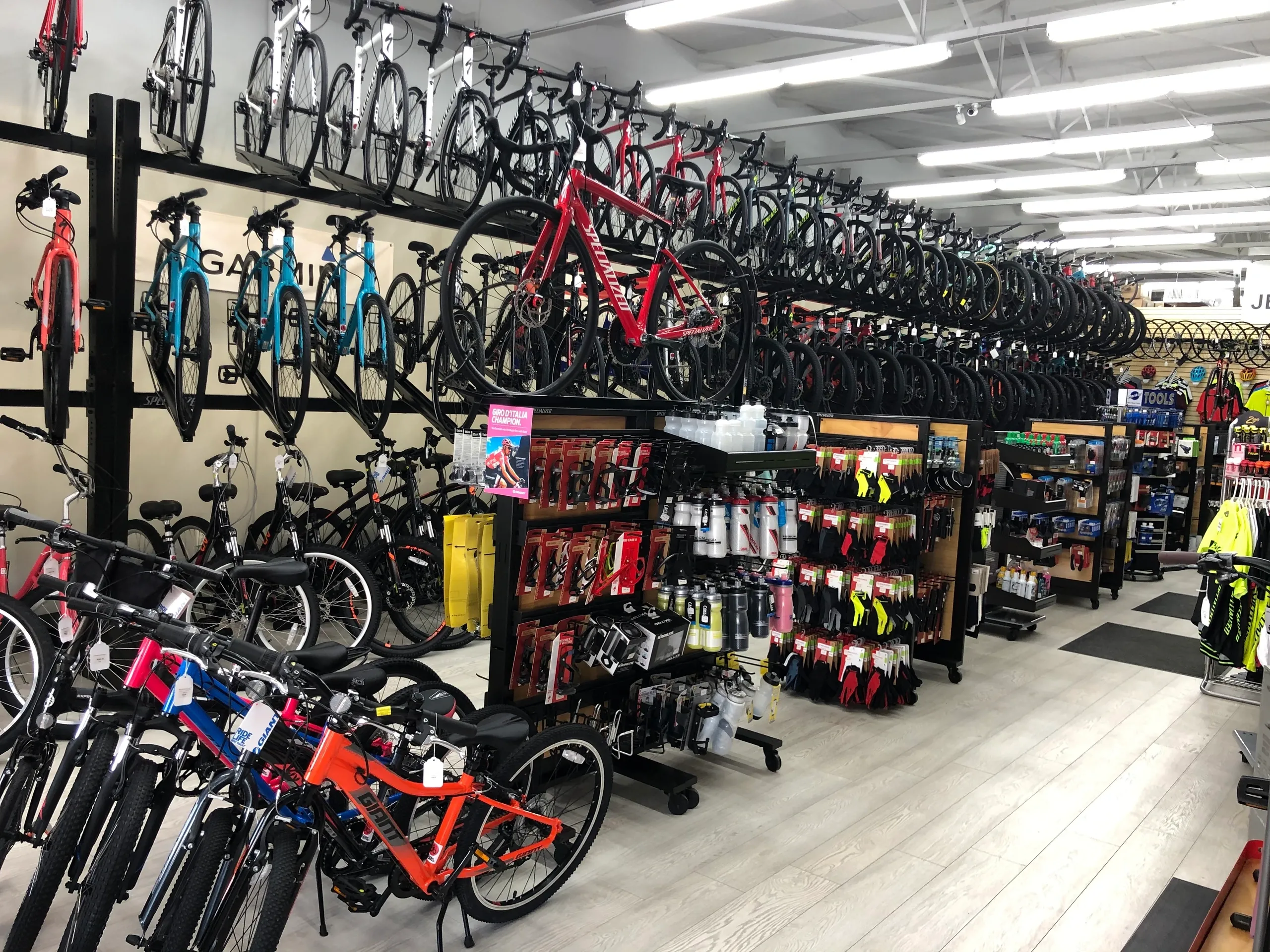 Legit Bicycle Shops In Europe