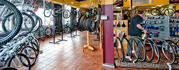 buy bicycles online