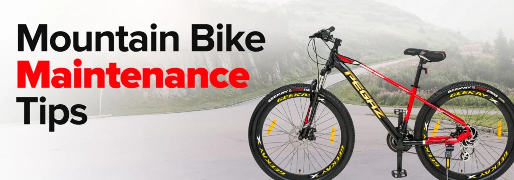 Why Should I Buy a Bicycle