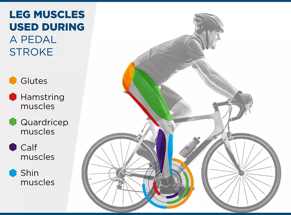 Why Should I Buy a Bicycle