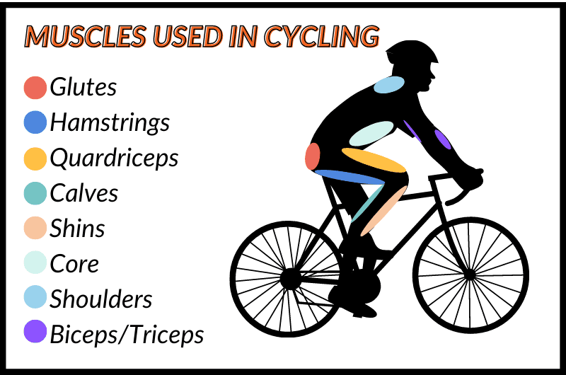 Why Should I Buy a Bicycle