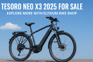 Tesoro Neo X3 2025 for Sale | Buy Cannondale Tesoro Neo X3 2025